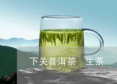 下关普洱茶 生茶/2023041015147